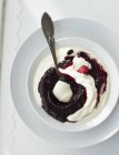 Mascarpone cream with berry sauce — Stock Photo
