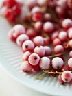 Plate of frozen redcurrants — Stock Photo