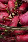 Fresh Red radishes — Stock Photo