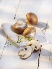 Cogumelos castanhos frescos — Fotografia de Stock