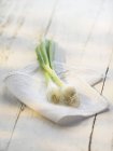 Spring onions on a cloth — Stock Photo