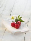 Tomates cherry con hojas - foto de stock