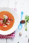 Gazpacho con ravanelli in piatto — Foto stock