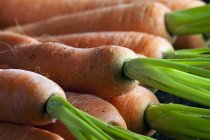 Zanahorias maduras con tallos - foto de stock