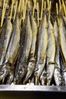 Grilled fish on sticks — Stock Photo