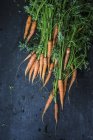 Свежая морковь с топами — стоковое фото