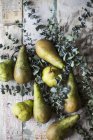 Pears and eucalyptus sprigs — Stock Photo