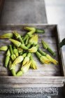 Fresh Baby courgettes with flowers — Stock Photo