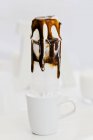 Йогурт и шоколадное мороженое — стоковое фото