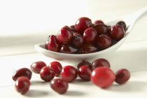 Fresh cranberries with white spoon — Stock Photo