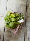 Hierbas frescas con cordel de cocina y un cuchillo en una canasta - foto de stock