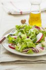 Une salade fraîche aux radis, laitue et cresson sur assiette blanche à la fourchette — Photo de stock