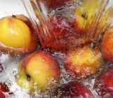 Nectarinas en salpicaduras de agua - foto de stock