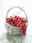 Groselhas vermelhas maduras na cesta — Fotografia de Stock