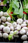 Bunches of white turnips — Stock Photo