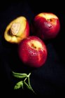 Nectarinas orgánicas con menta fresca - foto de stock