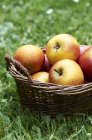Cesta de manzanas frescas - foto de stock