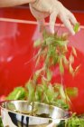 Mano umana aggiungendo foglie di acetosa — Foto stock