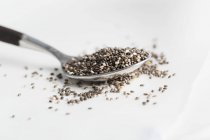 Cucchiaio di semi di chia — Foto stock