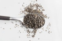 Spoonful of chia seeds — Stock Photo