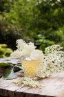 Glass of fresh elderflower syrup with flowers on a wooden table in a garden — Stock Photo