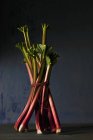 Bunch of fresh rhubarb — Stock Photo