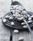 Dried White beans with spoon — Stock Photo