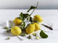 Lemons and green almonds — Stock Photo