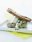 Grilled bread with garlic — Stock Photo