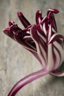 Radicchio on a wooden table — Stock Photo