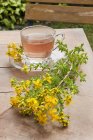 Closeup view of Saint Johns wort tea with herb — Stock Photo