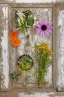 Arrangement of various fresh and dried medicinal herbs over wooden surface — Stock Photo