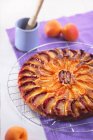 Марципанський торт з абрикосами та персиками — стокове фото