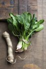 Spinach leaves tied with twine — Stock Photo