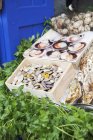 Молюски, гребінці та петрушка на ринковій стійці — стокове фото