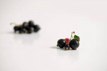 Grappoli Ribes nero con ribes rosso — Foto stock