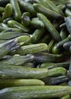 Raw green cucumbers — Stock Photo
