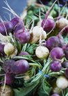 Bunches of fresg Turnips — Stock Photo