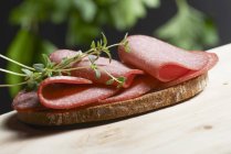 Slice of bread topped with pepper salami — Stock Photo