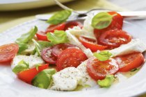 Caprese Salad with cheese — Stock Photo