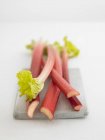 Lances de rhubarbe fraîche — Photo de stock