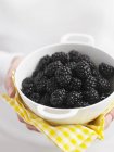 Female hands holding blackberries in bowl — Stock Photo
