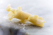 Trozo de pasta fresca de Gigli Toscani - foto de stock