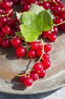 Fresh redcurrants with leaf — Stock Photo
