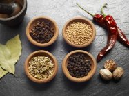 Clavos, semillas de mostaza, hinojo, pimienta, nuez moscada, chile y hojas de laurel - foto de stock
