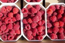 Raspberries in plastic containers — Stock Photo