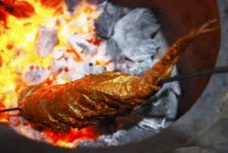 Vue rapprochée d'un poisson Tandoori sur une brochette au-dessus de charbons rougeoyants — Photo de stock