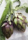Fresh Artichokes with leaves — Stock Photo