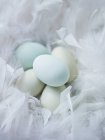 Vista de cerca de huevos azules en un nido de plumas suaves - foto de stock