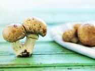 Fresh chestnut mushrooms — Stock Photo
